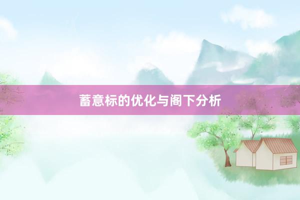 蓄意标的优化与阁下分析