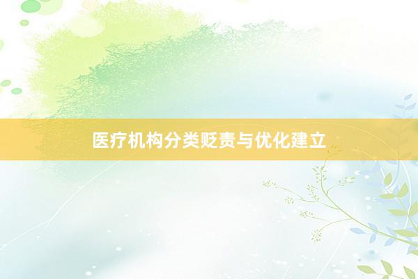 医疗机构分类贬责与优化建立