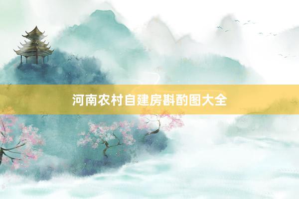 河南农村自建房斟酌图大全