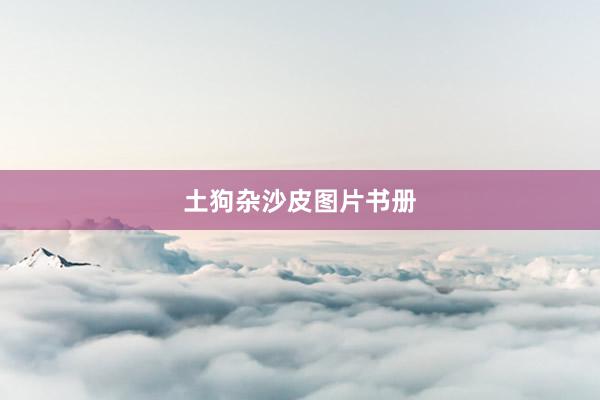 土狗杂沙皮图片书册
