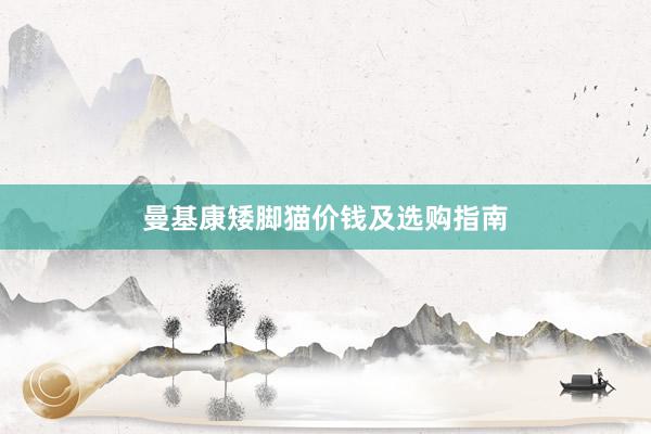 曼基康矮脚猫价钱及选购指南